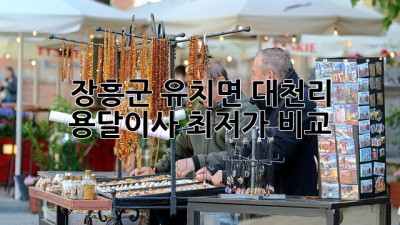장흥군 유치면 대천리 용달이사 최저가 비교!